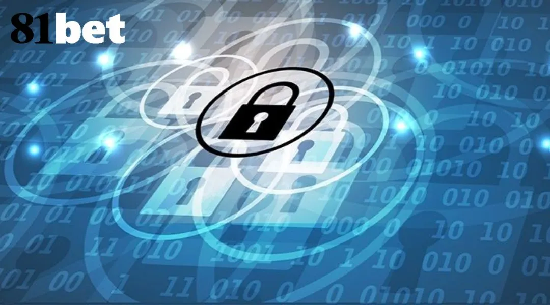 Política de Gestão de Transações da Conta 81BET